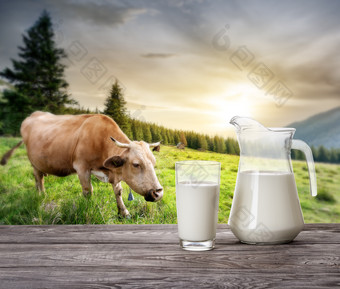 牛奶透明的菜木表格的背景景观与牛夏天景观的概念自然产品牛奶透明的菜木表格