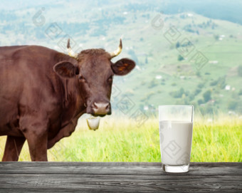 玻璃牛奶牛背景与贝尔山牧场的概念自然食物玻璃牛奶牛背景与贝尔山牧场