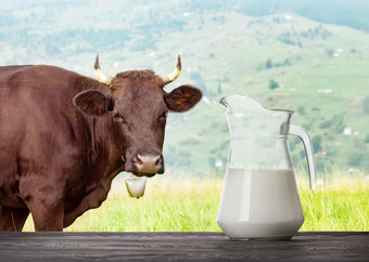 牛奶<strong>玻璃壶</strong>木表格与牛草地的背景牛奶对放牧牛牛奶<strong>玻璃壶</strong>木表格与牛草地的回来
