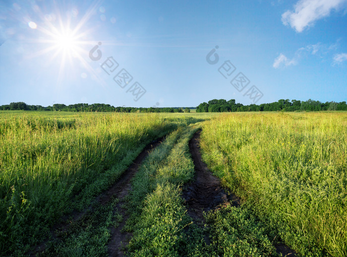 绕组国家路绿色草地下明亮的太阳绕组国家路绿色草地