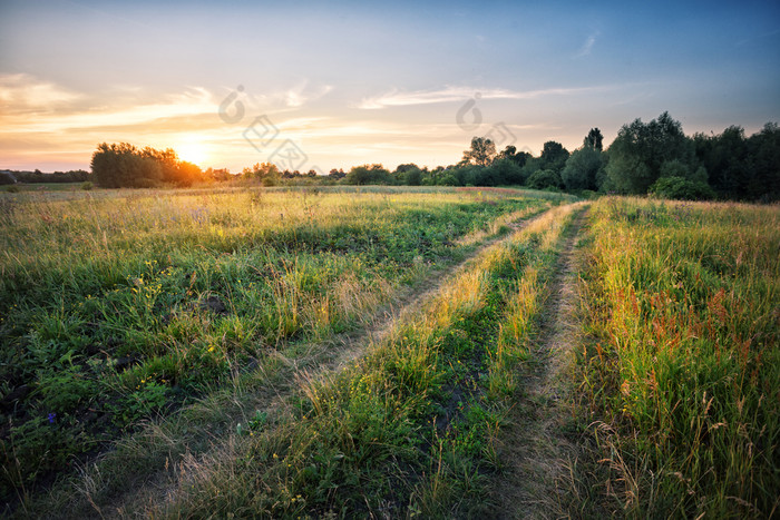 国家路场与密集的草日落夏天景观国家路场与密集的草日落