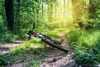 山自行车<strong>谎言</strong>的路绿色森林夏天景观的概念休息和自由山自行车<strong>谎言</strong>的路绿色森林