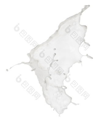 液体牛奶飞溅与滴孤立的白色背景液体牛奶飞溅与滴