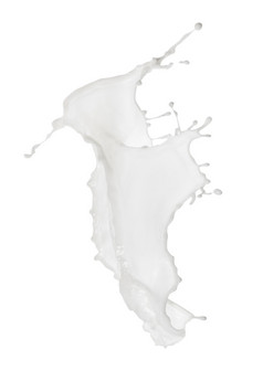 白色液体乳制品飞溅与滴孤立的白色背景白色液体乳制品飞溅与滴