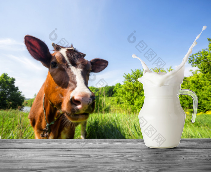 飞溅壶牛奶的背景棕色（的）牛壶牛奶站木表格对的背景棕色（的）牛牧场飞溅壶牛奶的背景棕色（的）牛