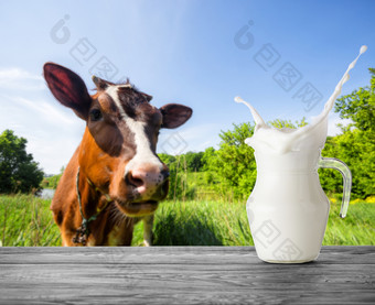 飞溅壶牛奶的背景棕色（的）牛壶牛奶站木表格对的背景棕色（的）牛牧场飞溅壶牛奶的背景棕色（的）牛