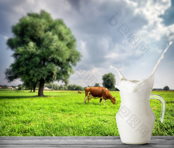 壶牛奶与飞溅的背景牛的草地壶牛奶站木表格的背景牧场与牛和树壶牛奶与飞溅背景牛草地