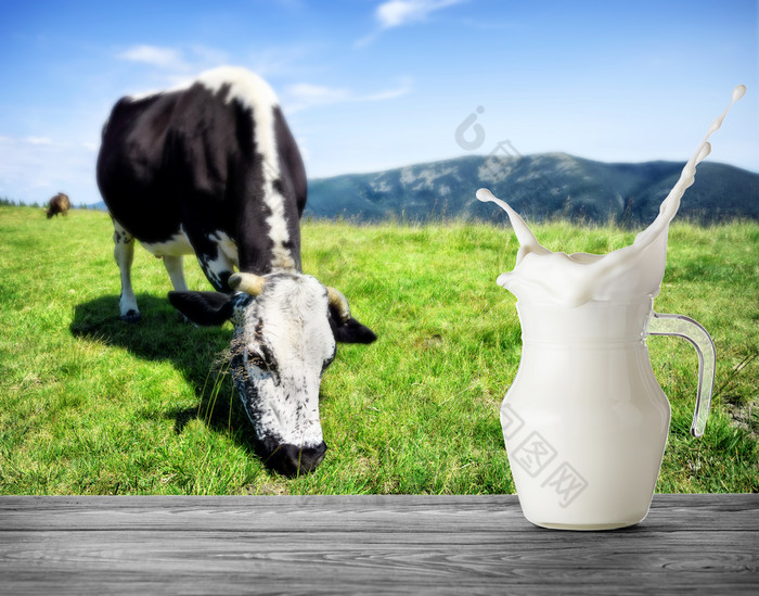 壶牛奶与飞溅的背景发现了牛山牧场壶牛奶站木表格对的背景发现了牛山牧场与绿色草壶牛奶与飞溅的背景发现了牛