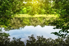 湖框架绿色树叶下的明亮的太阳夏天景观的概念隐私旅行和自由湖框架绿色树叶下明亮的太阳
