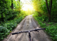 舵体育自行车的背景的森林路的明亮的太阳舵体育自行车背景森林路明亮的太阳