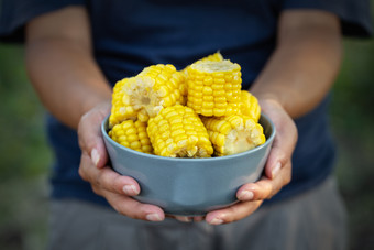 蓝色的碗玉米的手女人农民的概念丰富的收获和财富蓝色的碗玉米手女人农民