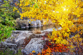 湖的<strong>山下</strong>的明亮的太阳的秋天视图通过的树叶树湖的<strong>山下</strong>的明亮的太阳秋天