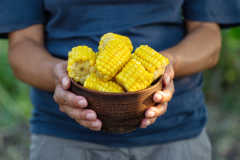 粘土板与煮熟的玉米的手女人农民的概念生态产品健康的营养和收获粘土板与煮熟的玉米手女人农民
