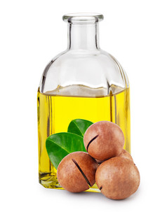 澳洲石油瓶和坚果与叶子孤立的白色背景澳洲石油瓶和坚果与叶子