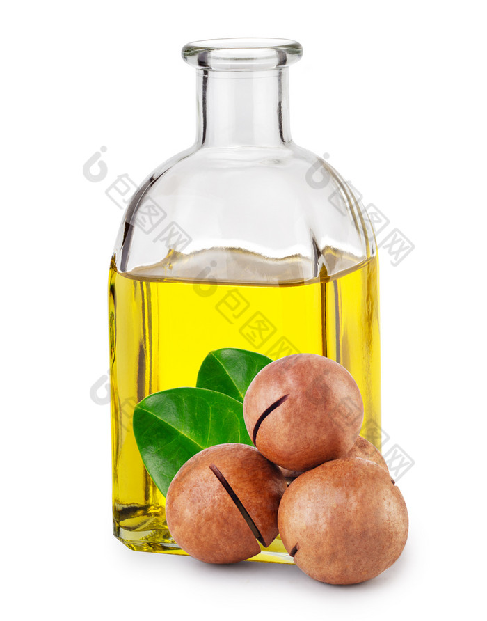 澳洲石油瓶和坚果与叶子孤立的白色背景澳洲石油瓶和坚果与叶子