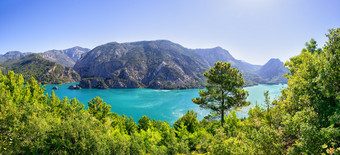 全景的绿色峡谷包围树夏天景观一边火鸡全景绿色峡谷包围树