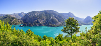 全景的绿色峡谷夏天景观一边火鸡全景的绿色峡谷