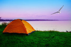 旅游帐篷的海岸平静湖与海鸥的早....天空粉红色的黎明天空夏天景观的概念旅行隐私自由旅游帐篷海岸湖与海鸥早....天空