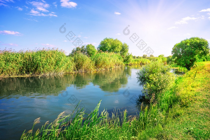 河草地在绿色树阳光明媚的夏天一天河草地在绿色树