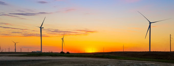 风发电机的生态权力植物日落风发电机生态权力植物日落