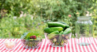 采购成分为的保存黄瓜香料大蒜和黄瓜红色的网纹桌布自然绿色背景采购成分为的保存黄瓜