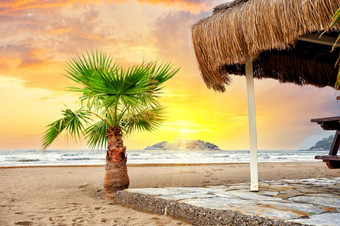 棕榈树和茅<strong>草屋</strong>顶桑迪海滩下明亮的太阳棕榈树和茅<strong>草屋</strong>顶桑迪海滩下明亮的太阳