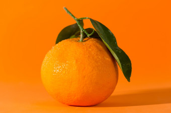 新鲜的橙色价与橙色背景