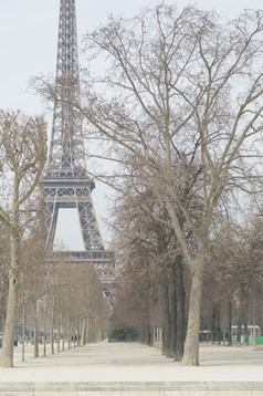 视图的埃菲尔铁塔塔巴黎法国