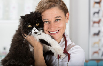 兽医拥抱猫和让人安心为审查