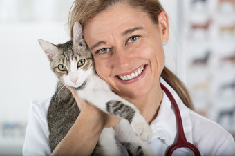 兽医拥抱猫和让人安心为审查