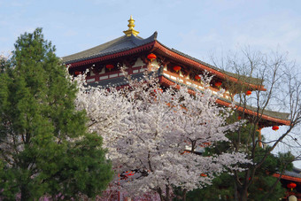 陕西省西安大唐芙蓉园彩色图片清晰场景