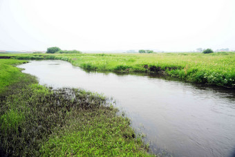 河北省承德坝上草原风光