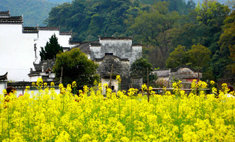 江西省婺源县思溪村风光旅游目的地氛围相片