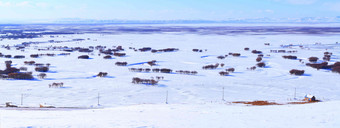 内蒙古呼伦贝尔草原雪景雪相片