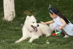 小女孩在草地上和小狗玩耍