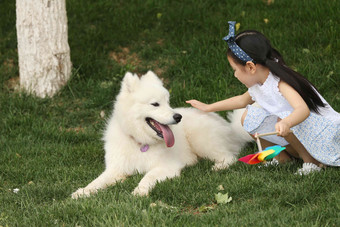 小女孩在草地上和小狗玩耍健康生活方式氛围<strong>摄影图</strong>
