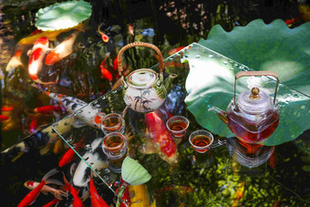 池塘茶具荷叶摄影白昼高端图片