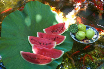 池塘西瓜水池高质量摄影