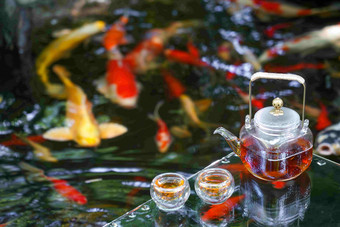 池塘茶具金鱼无人环境保护高质量图片
