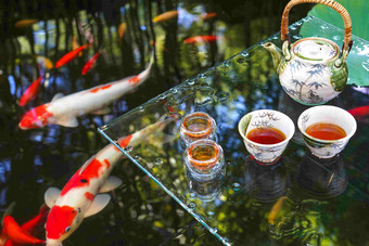 池塘边茶具植物高质量镜头