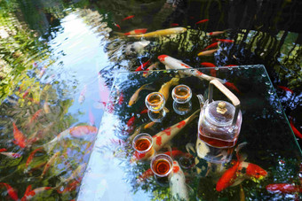 池塘茶具季节园艺高清拍摄