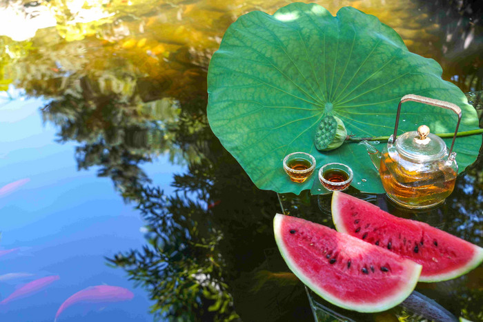 夏日的池塘河流相片