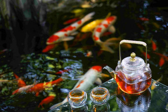 池塘茶具金鱼中国宁静写实镜头