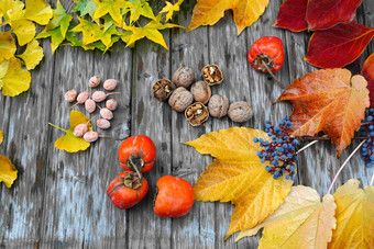 秋天丰收的果实东亚清晰摄影