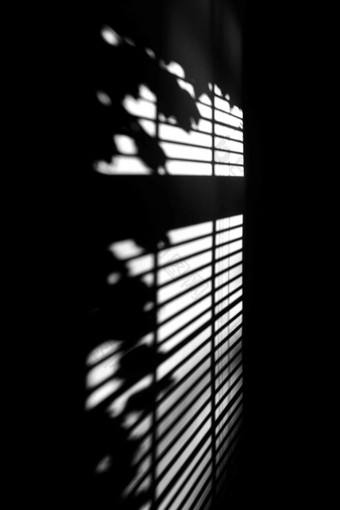 逆光拍摄窗户映到墙壁上的影子