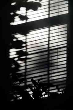 逆光拍摄的窗户映到墙壁上的影子
