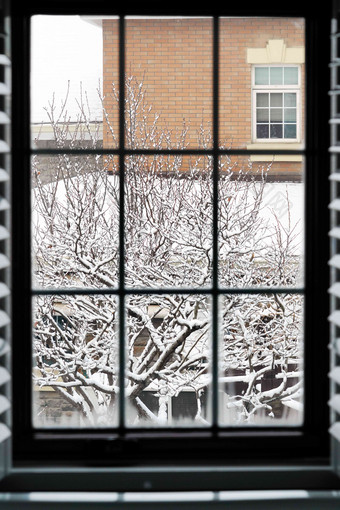 窗户外的雪景