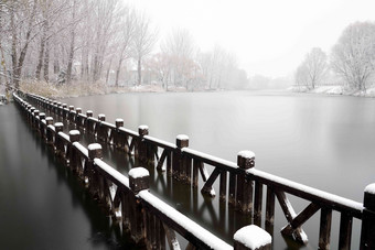 下雪后的湖边风景选择对焦写实拍摄