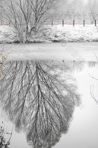 下雪后的湖边风景