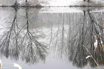 雪后湖面的倒影自然氛围照片